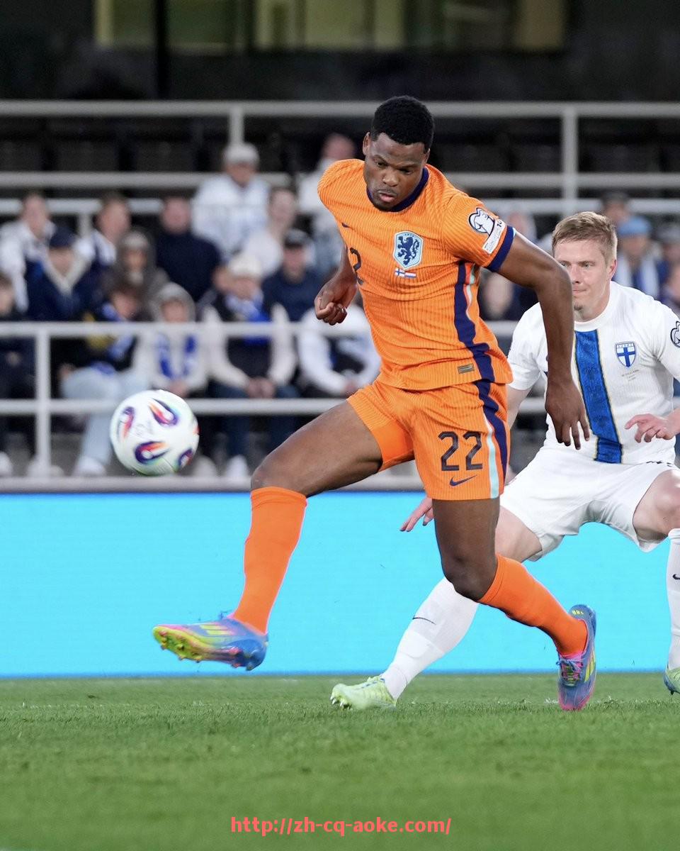 澳客足彩-德甲球队有哪些内部派系和流派？